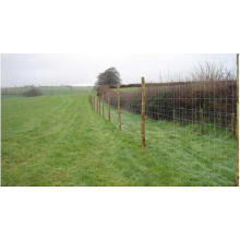 ISO9001 Certified Hot Sale High Quality Cheap Galvanized Field Fence, Cattle Fence, Farm Fence